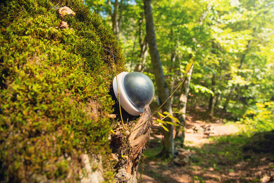 Security camera on tree in the forest.
