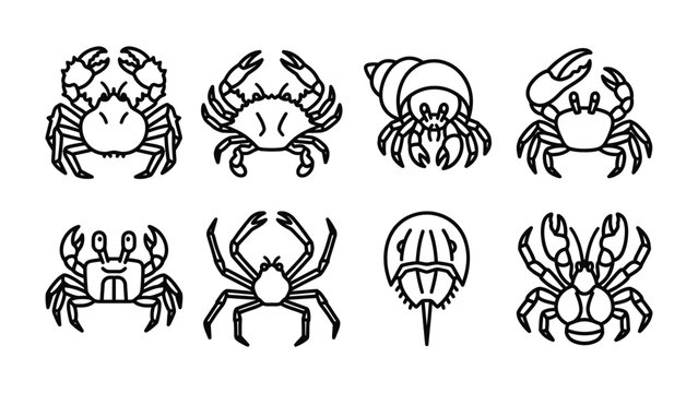 Crustacean Collection: A stylized, graphic illustration showcasing a variety of ocean dwellers, including crabs, a hermit crab, and a horseshoe crab, presented in a clean, black and white design.