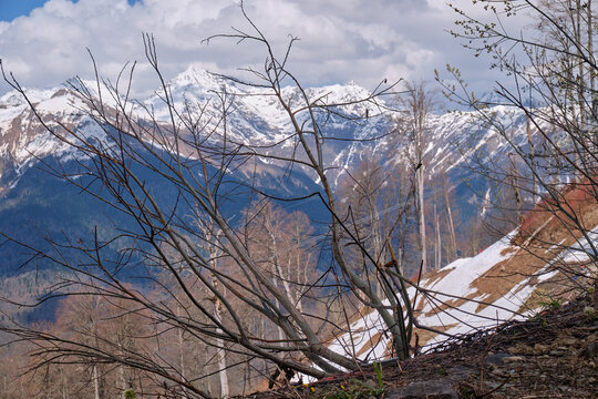 Beautiful mountains of Main Caucasian Range surrounding the Roza Khutor resort area. Sochi.
