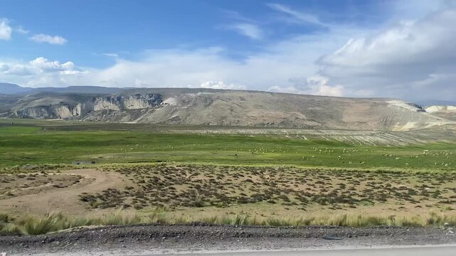 On the way across the Altiplano. A landscape full of grazing llamas, vicu&ntilde;as, and alpacas