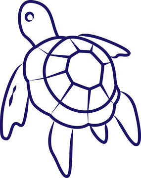 Sea Turtle