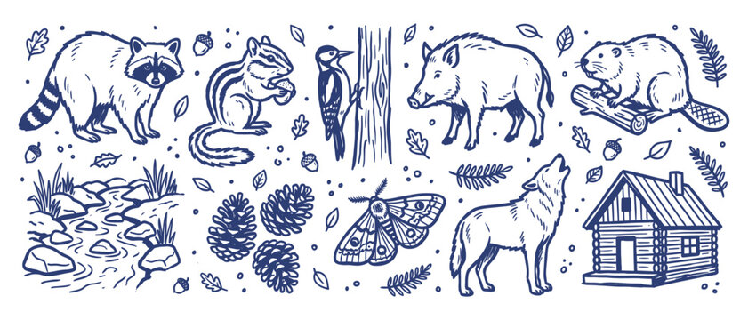 Woodland Forest Animals Vector Set Hand Drawn Wildlife Icons