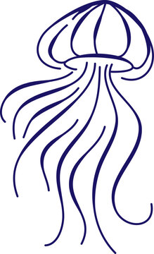 Jellyfish Sketch