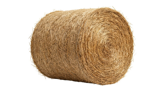 Large round hay bale isolated on white background