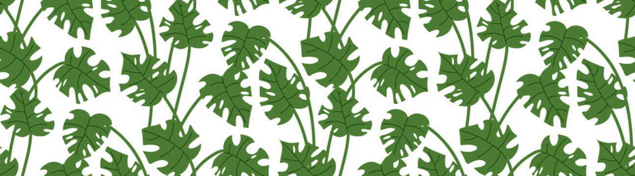 Delicate tropical leaf pattern with fine green foliage on white background for textile, stationery, wallpaper, fabric, packaging, wrapping paper and botanical decor