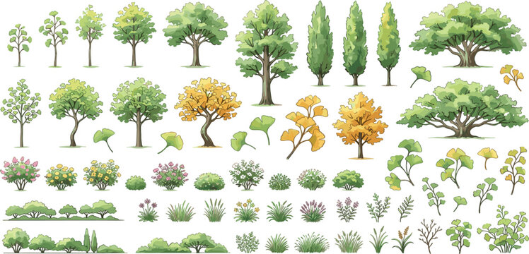 Large collection of architectural landscaping tree vectors hedges and garden plant symbols isolated on white