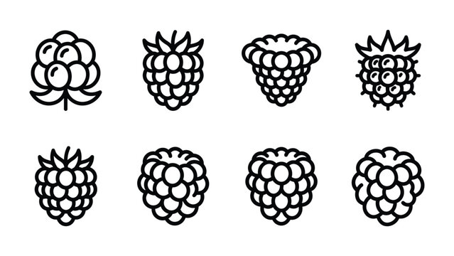 Assorted Berries Icons: A collection of stylized line art icons showcasing various berries, including raspberries and cloudberries, presented in a clean, modern design.