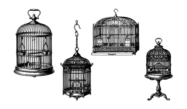 Magasin Pittoresque Aeolipile Steam Rotisserie Vintage Engraving Vector