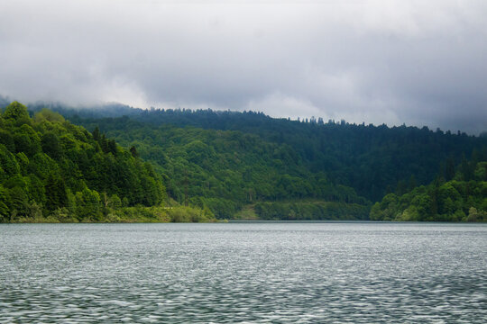Power Line Crosses a Foggy Forest at Shaori Reservoir