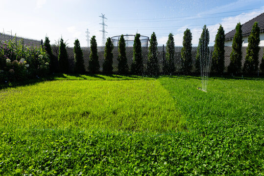 Sprinkler watering young grass in a backyard garden