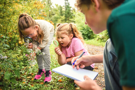happy school kids learning about environment and insects during field trip with camp monitor