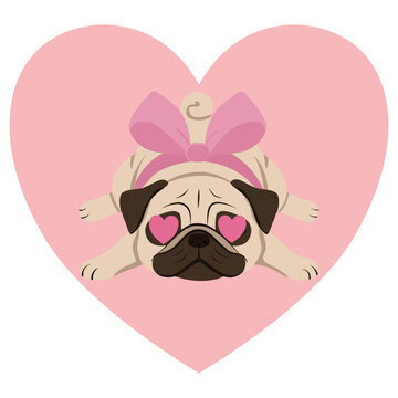 Funny lazy Pug dog lying down with heart eyes and a large pink bow inside a pink heart vector illustration on a transparent background
