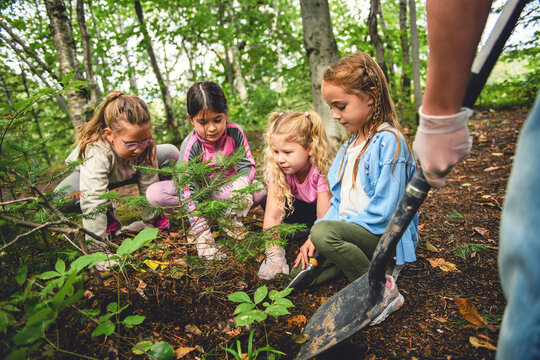 Cute groupe of little girl planting tree in forest