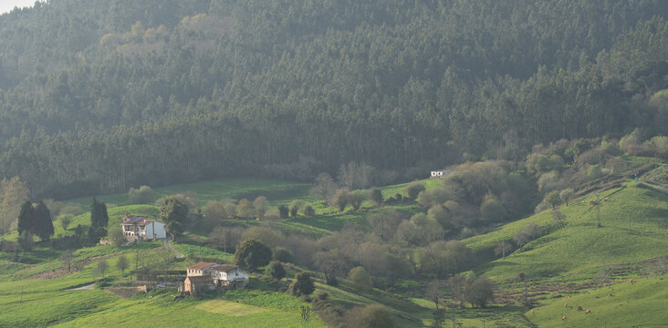 Forested Rural Valley With Farmhouses on Green Hillsides