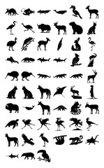 Fototapeta premium Set of 57 black animal silhouette vectors isolated on white