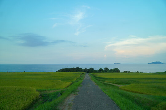 海へと続く一本道