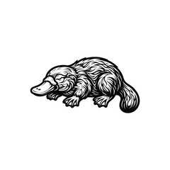 Fototapeta premium Black and white line art illustration of a cute platypus standing in a simple profile view