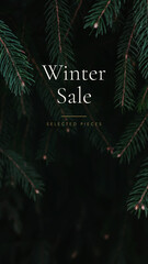Obraz premium Real dark green spruce branches with a sharp needle texture against a deep shadow. Anchors a moody winter sale banner background with copy space, a vintage winter sale holiday design with copy space.