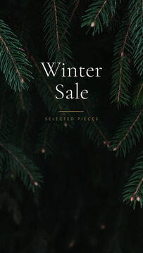 Real dark green spruce branches with a sharp needle texture against a deep shadow. Anchors a moody winter sale banner background with copy space, a vintage winter sale holiday design with copy space.