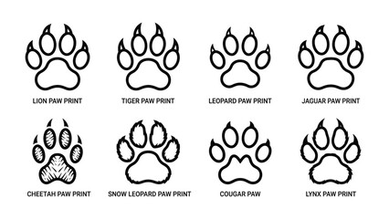 Big Cat Paw Prints: A collection of eight distinct paw prints from various big cat species, illustrating the unique markings of a lion, tiger, leopard, jaguar, cheetah, snow leopard, cougar, and lynx. © Joynob