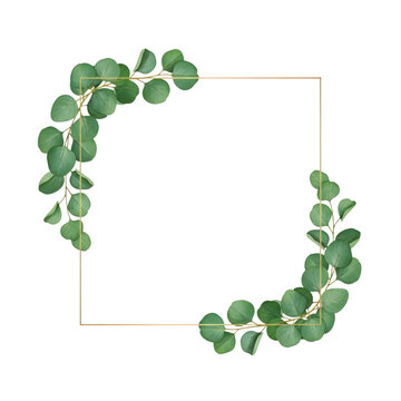 Watercolor eucalyptus leaf branch frame isolated on white
