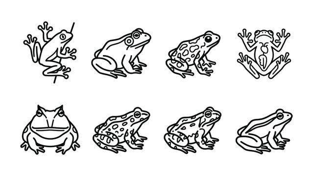 Eight Frog Line Art Collection: A set of eight unique line art illustrations of various frog species, showcasing their distinct anatomy and patterns.