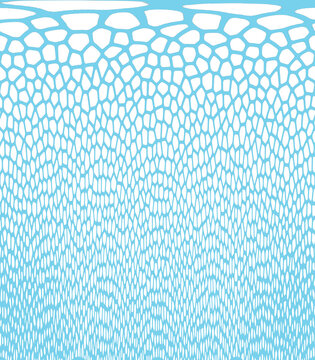 Light blue voronoi cell pattern with white organic grid for biological and medical backgrounds.