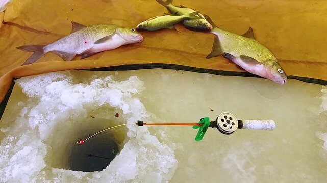 Fishing in winter on the lake ice, in a fishing tent
