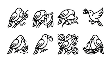 Fototapeta premium Bird Icons Set: A collection of simple line art icons depicting various birds engaged in daily activities like foraging, feeding, and nesting. Perfect for illustrating nature, wildlife.
