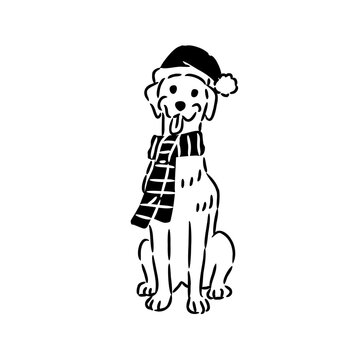 Golden Retriever Dog sitting in Santa Hat and Winter Scarf