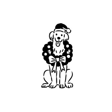 Golden Retriever sitting inside Christmas Wreath with Santa Hat