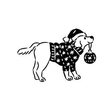 Golden Retriever wearing Sweater holding Christmas Ornament Ball