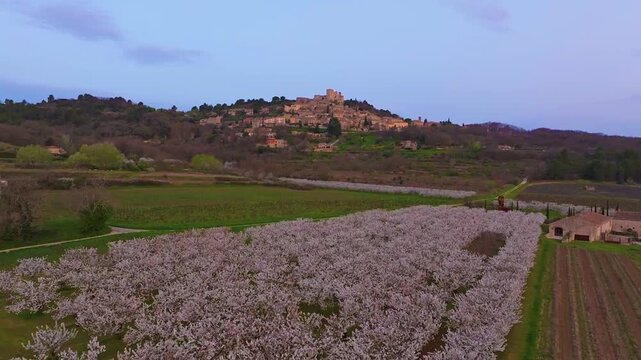 Aerial view of a blooming cherry orchard in front of the medieval hilltop village of bonnieux in the luberon region of provence, france