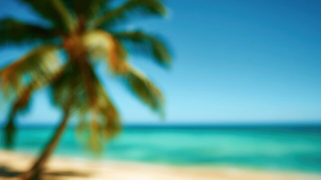 Blurred tropical beach scene with palm tree silhouette and turquoise ocean