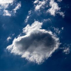 Fototapeta premium Large cloud floating in a bright blue sky
