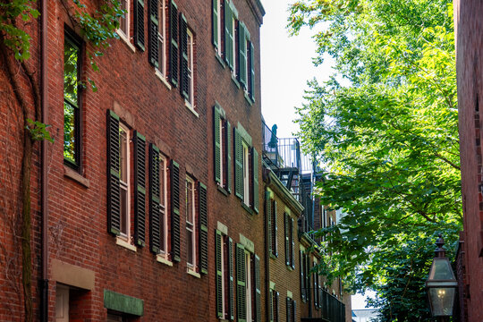 Boston brick building with green shutters along leafy alleyway