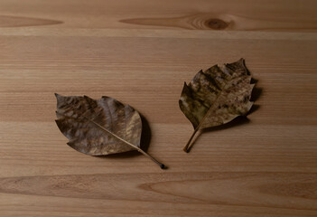 Obraz premium Autumn season and seasonal change, two dry brown leaves on a wooden table nature transition and the passage of time in a minimalist style