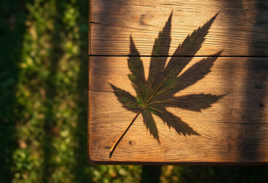 Cannabis legalization and medical marijuana concept, hemp leaf shadow cast on rustic wooden table in garden with natural sunlight and organic texture