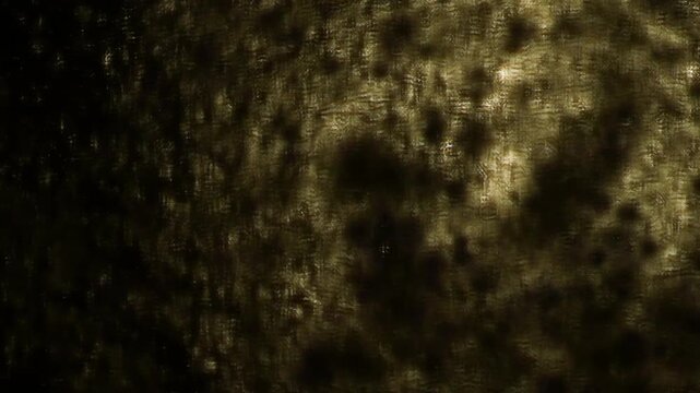 Abstract Dappled Light and Shadow Pattern in Warm Dark Tones