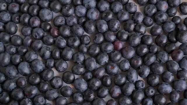 Top-down macro shot of fresh ripe blueberries rotating smoothly on a white turntable, forming a full-frame pattern of raw organic berries with natural texture.