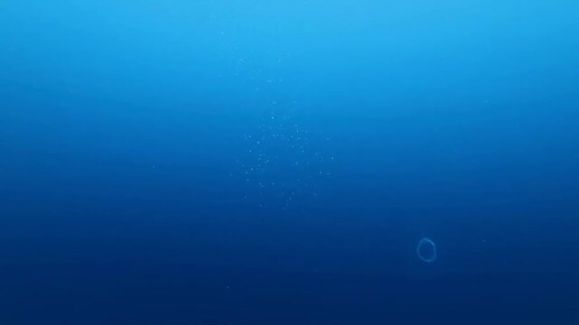 The images depict an underwater scene with the main focus on the surrounding blue water and small, dispersed bubbles rising toward the surface