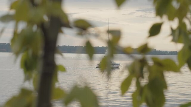 Sailing boat moves on the lake with trees on the foreground