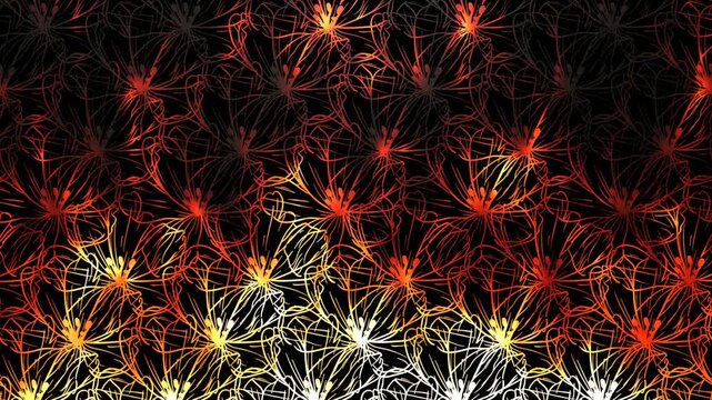 Golden Orange and Red Floral Line Art Pattern Glowing Neon Daisy Flowers on Black Background Loop.