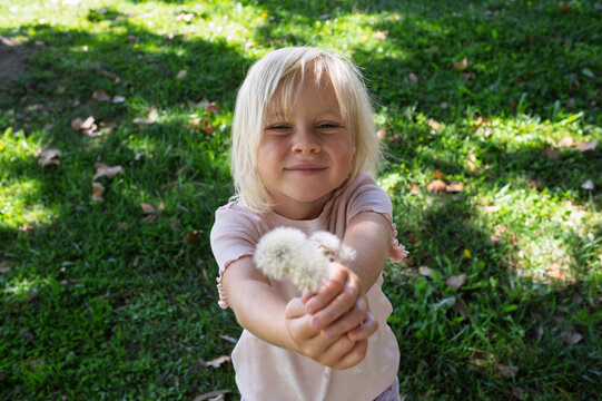 Cute blonde little girl holding dandelion flowers on green lawn