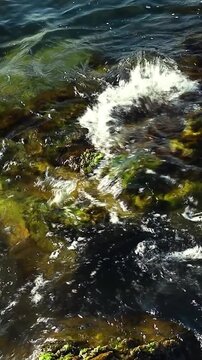Underwater scene displays rocky seabed with green algae and clear water, as waves create ripples and movement over the stones in a coastal setting