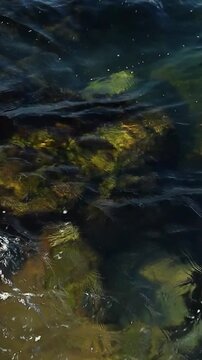 Underwater scene displays rocky seabed with green algae and clear water, as waves create ripples and movement over the stones in a coastal setting