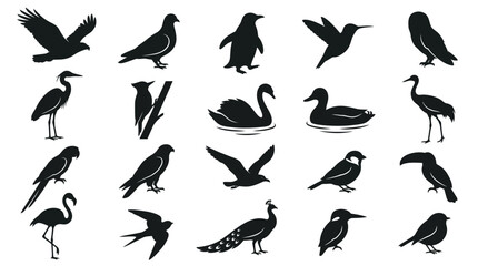 Fototapeta premium A collection of diverse bird silhouettes featuring waterfowl and perching species