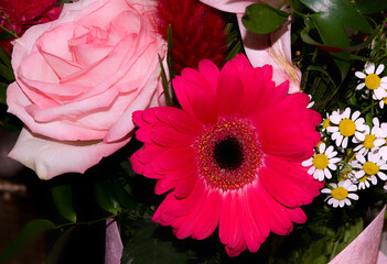 bouquet de fleurs  © lorinda