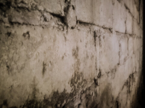A raw, close-up photograph capturing the highly textured surface of an aged, weathered concrete brick wall. This distressed, urban texture is perfect for industrial backdrops, grunge designs. 