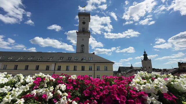Blooming pink and white petunia on terrace against historical buildings